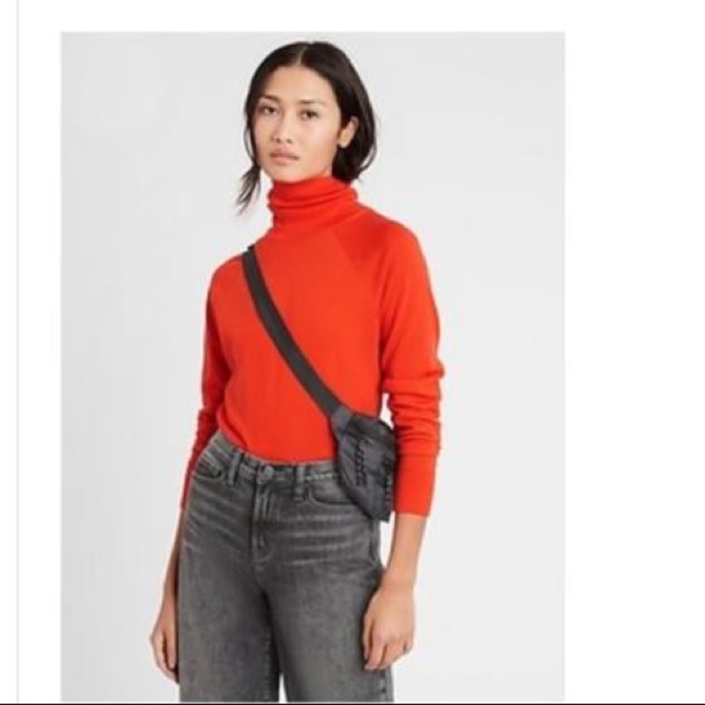 Banana Republic Fine Italian Merino Sweater